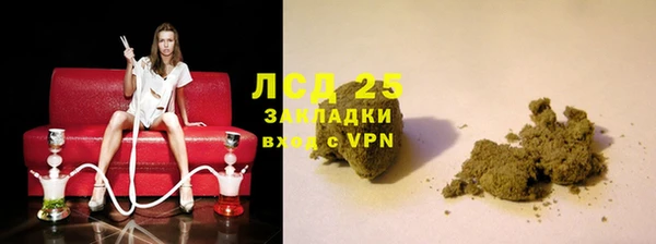 индика Арсеньев