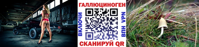 Галлюциногенные грибы MAGIC MUSHROOMS  Таштагол 